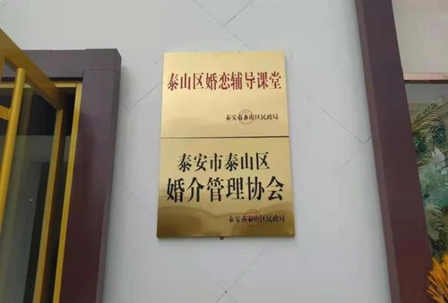 泰山區(qū)全面深化婚介機(jī)構(gòu)改革