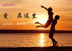 正規(guī)征婚交友哪家好 信息推薦 緣來識你供應(yīng)