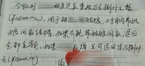 花22萬(wàn)娶越南新娘,一周后新娘跑路 法院判決中介全額退款